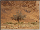 foto Terra dei Canyon